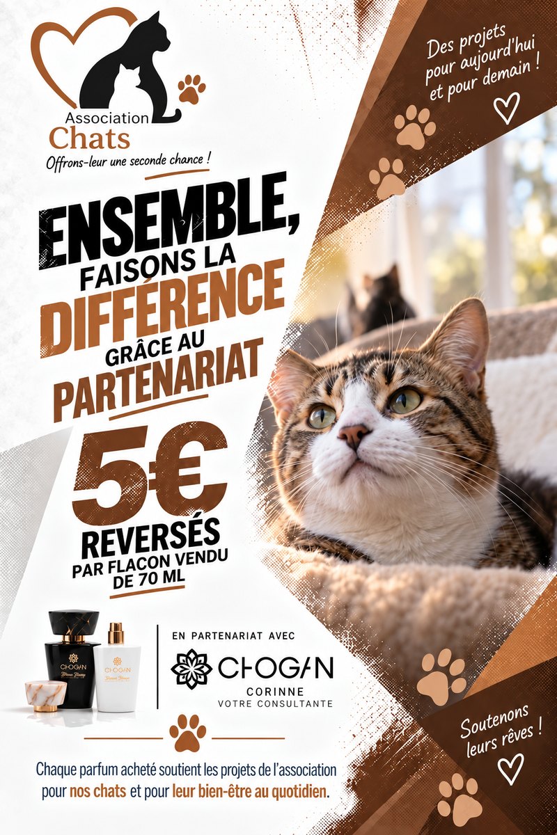 Exemple de flyer personnalisé pour une association de protection des chats